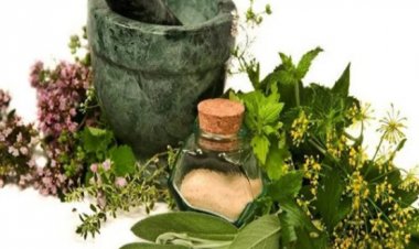 أعشاب من حولك تساهم في علاج النسيان وتقوية الذاكرة