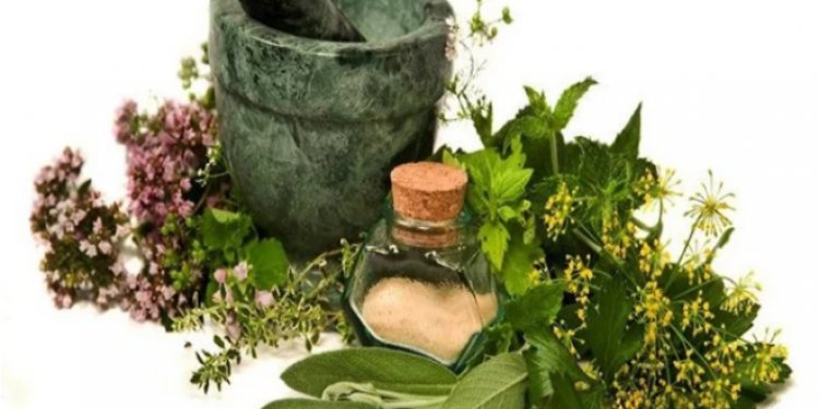 أعشاب من حولك تساهم في علاج النسيان وتقوية الذاكرة