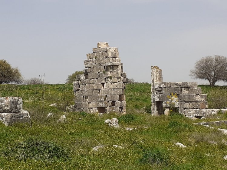 تل القدس بقايا قرية فلسطينية في إصبع الجليل وآثار رومانية