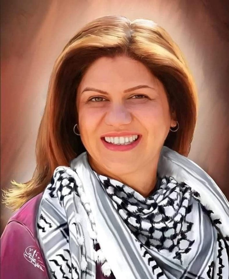 شيرين – أخطأتِ في تقدير قدرتكِ على التّأثير!