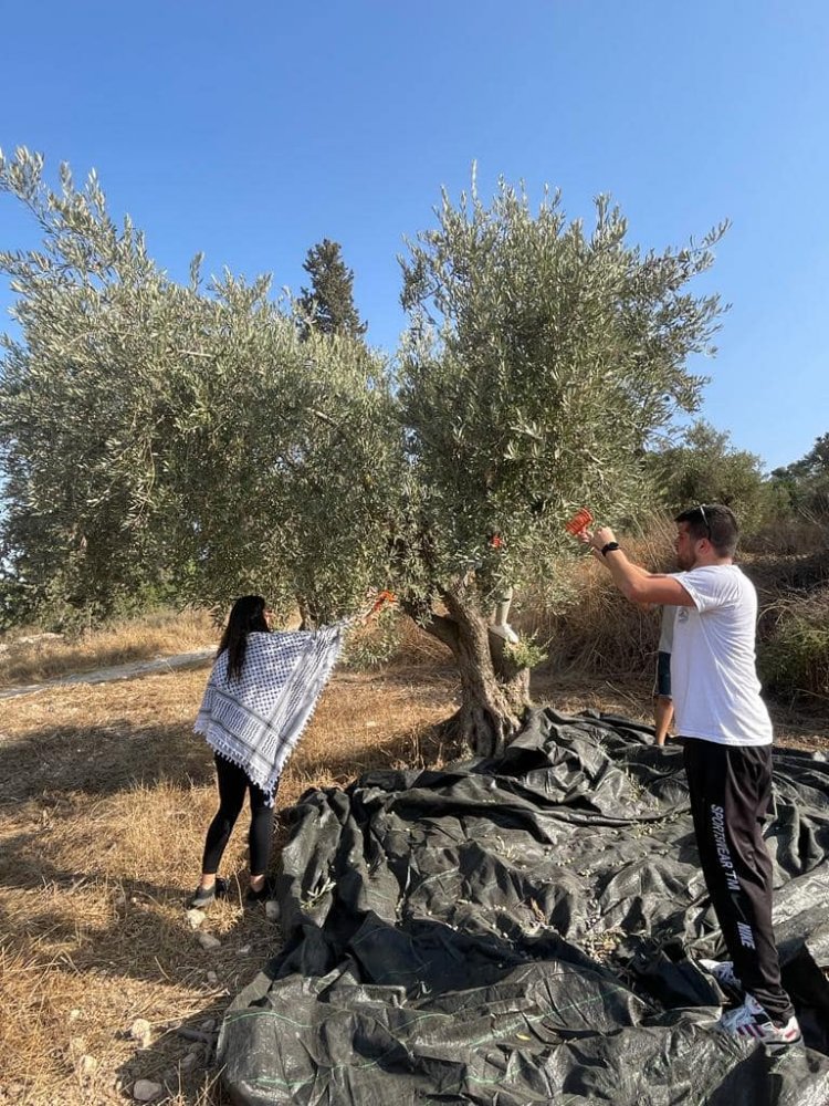 سرية كشافة ومرشدات مار فرنسيس الرملة تنظم فعاليات خاصة بالزيت والزيتون