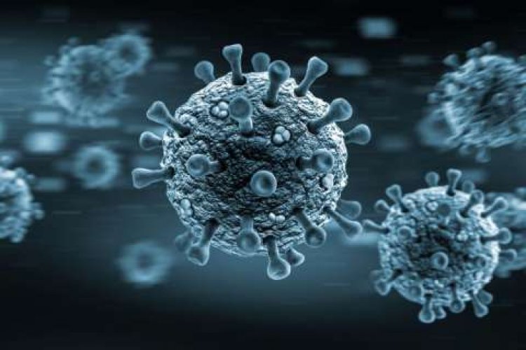 الصحة العالمية: لن نتراجع عن خططنا لمعرفة منشأ فيروس كورونا