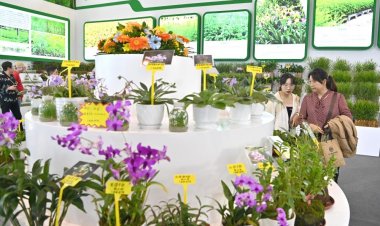 المؤتمر العالمي الأول لصناعة الغابات يوقع عقودا بقيمة نحو 5.6 مليار دولار أمريكي