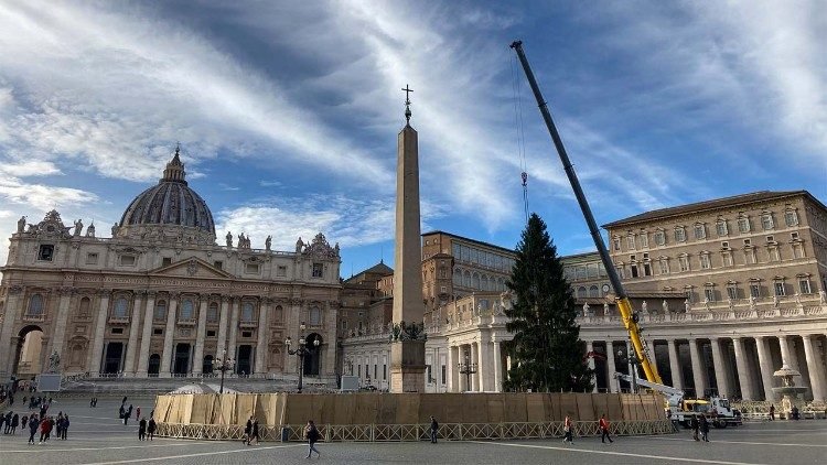 عيد الميلاد في الفاتيكان، المغارة من مقاطعة رييتي والشجرة من مقاطعة كونيو