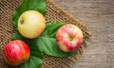 فوائد التفاح في تعزيز الشعور بالشبع وأفضل وقت لتناوله