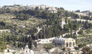 يسوع يغفر للمرأة الزانية - يوحنا ٨: ١-١١