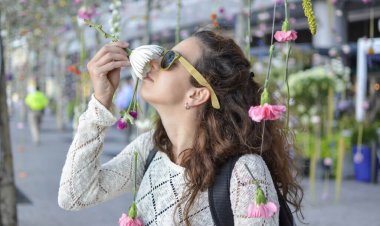 اكتشاف جديد لسبب الربو يبعث الأمل في علاج مستقبلي للمرض