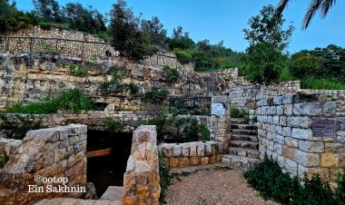 عين الماء في سخنين.. روضة من رياض الجنة بمياهها الصافية والعذبة