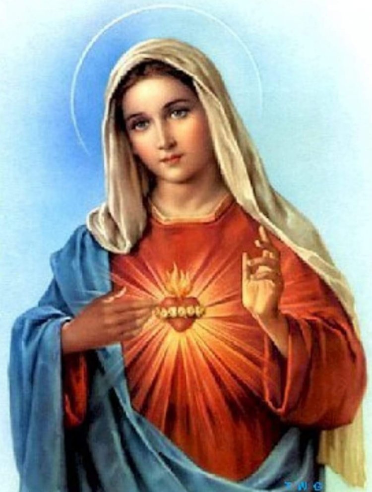 اليوم عيد قلب مريم الطاهر - لوقا ٢: ٤١-٥١