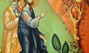 يسوع يفسِّر مثل الزارع - متى ١٣: ١٨- ٢٣