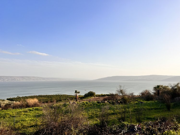 الوَيلُ لَكم أَيُّها الفِرِّيسِيُّونَ - لوقا ١١: ٤٢- ٤٧