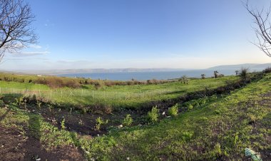 صاحب الكرم هو الله - متى ٢١: ٣٣-٤٣ و٤٥-٤٦