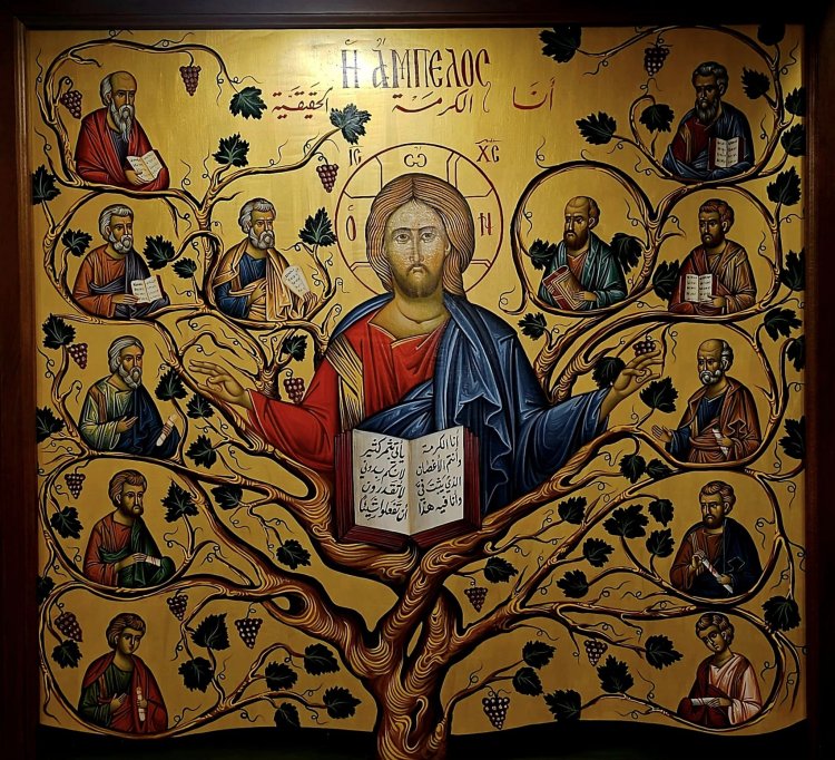 ما مِن نَبِيٍّ يُقبَلُ في وَطنِه - لوقا ٤: ٢٤-٣٠