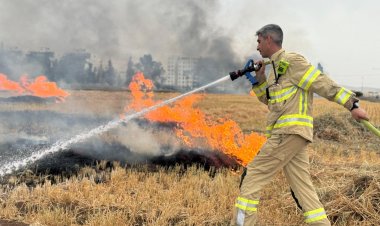 حرائق جبال القدس تتجدد وتخرج عن السيطرة وإسرائيل تطلب مساعدة دولية