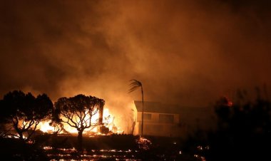 حريق غابات يلتهم أكثر من 50 ألف فدان في ليلة واحدة في كاليفورنيا