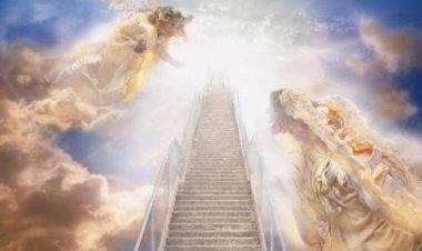 مَثَلُ مَلَكوتِ السَّمَوات كَمَثَلِ حَبَّةِ خَردَل - متى ١٣: ٣١-٣٥