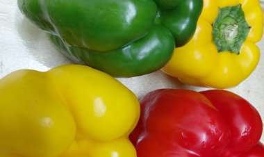 بذور الفلفل الحلو والفلفل الأخضر تحمل فوائد غذائية كبيرة