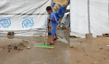 الكرسي الرسولي يشدد على أهمية الدور الذي تلعبه وكالة الأونروا ويحث الجماعة الدولية على الاستمرار في دعمها