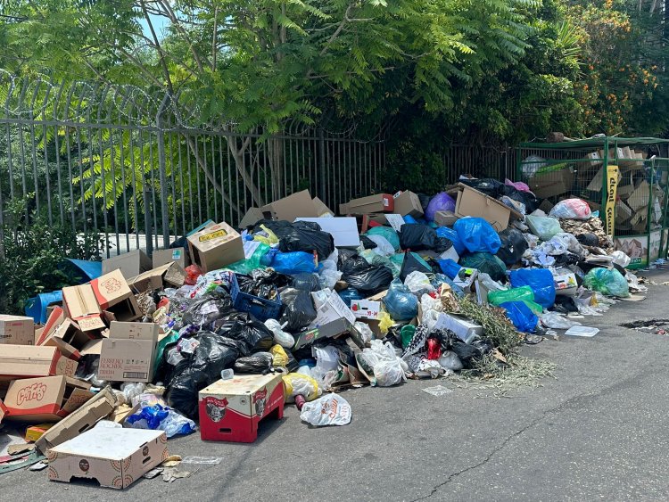 قريبا غرامة 4,000 شيكل لإلقاء النفايات من السيارات في الشوارع