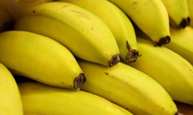 تناول الموز يومياً يدعم صحة القلب والجهاز الهضمي والطاقة