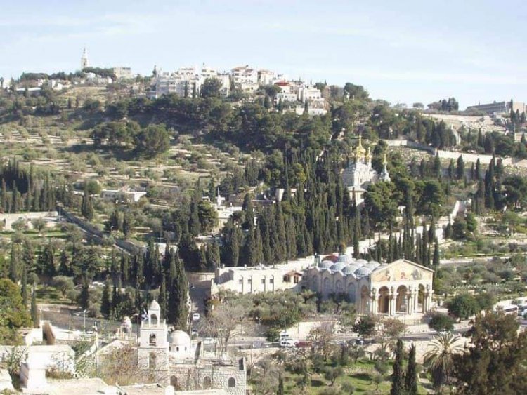 مَن كانَ مِنكُم بِلا خَطيئة، فلْيَكُنْ أَوَّلَ مَن يَرميها بِحَجَر - يوحنا ٨: ١-١١