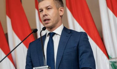 بيتر ماغيار رئيسا للوزراء بعد فوز ساحق على فيكتور أوربان في الانتحابات البرلمانية في هنغاريا