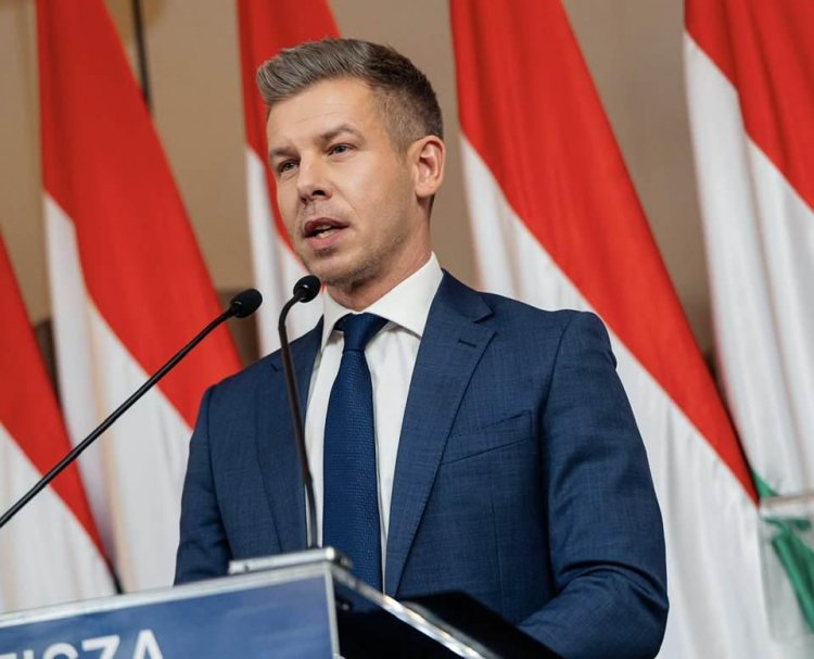 بيتر ماغيار رئيسا للوزراء بعد فوز ساحق على فيكتور أوربان في الانتحابات البرلمانية في هنغاريا