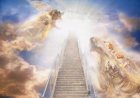 مَثلُ مَلكوتِ السَّمَوات كَمَثلِ رَبِّ بَيتٍ - متى ٢٠: ١-١٦